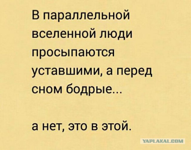 Подборка интересных и веселых картинок
