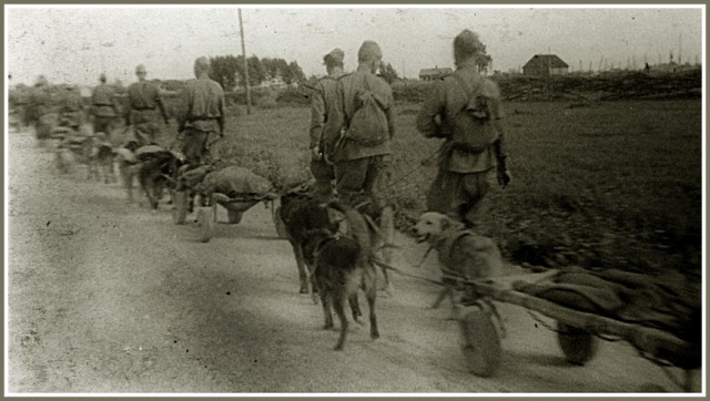 Фотографии к "Нахальному минированию" и "Лехе"