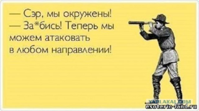 Смешные комментарии из социальных сетей 17.02.2016