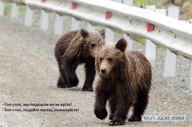 Морское меню Колымского рыбака