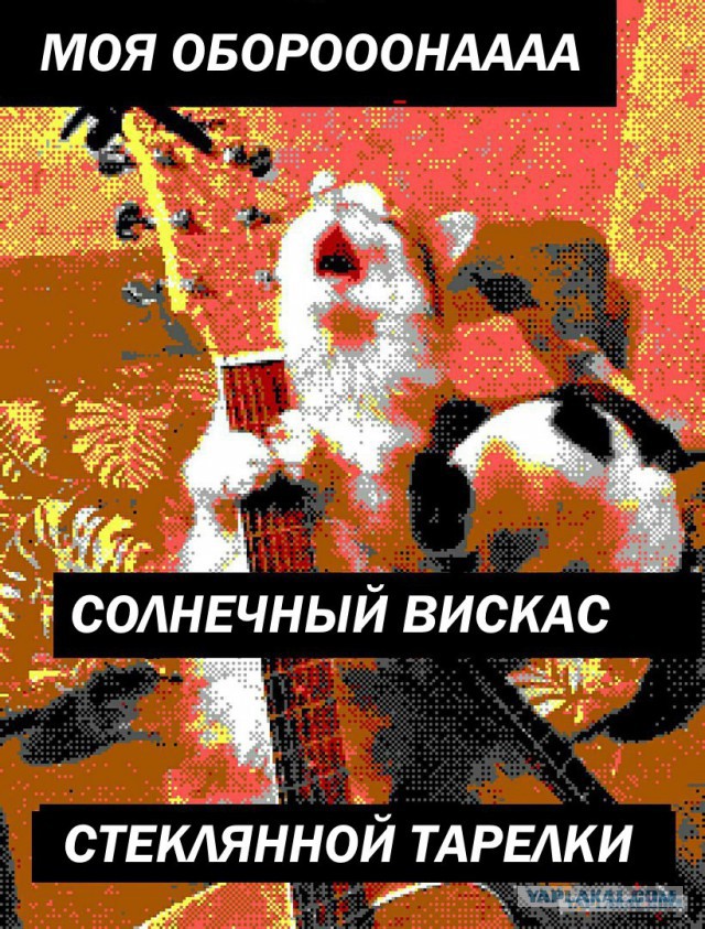 Оооо, моя оборона!
