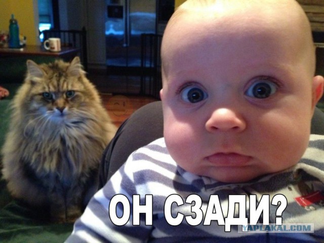 Картинки всякие для поднятия настроения