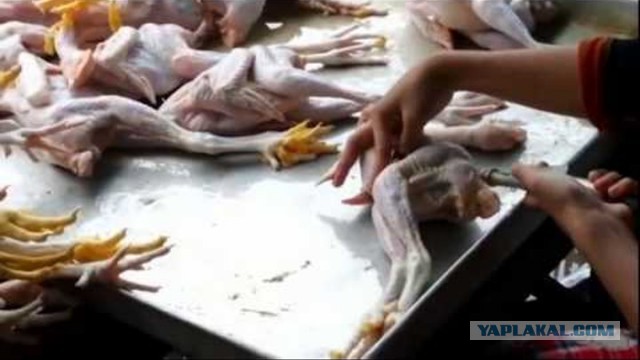 Дневник покупателя: что продавали в СССР в 1982 году