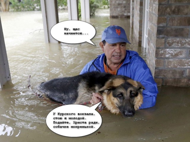 Допрыгались