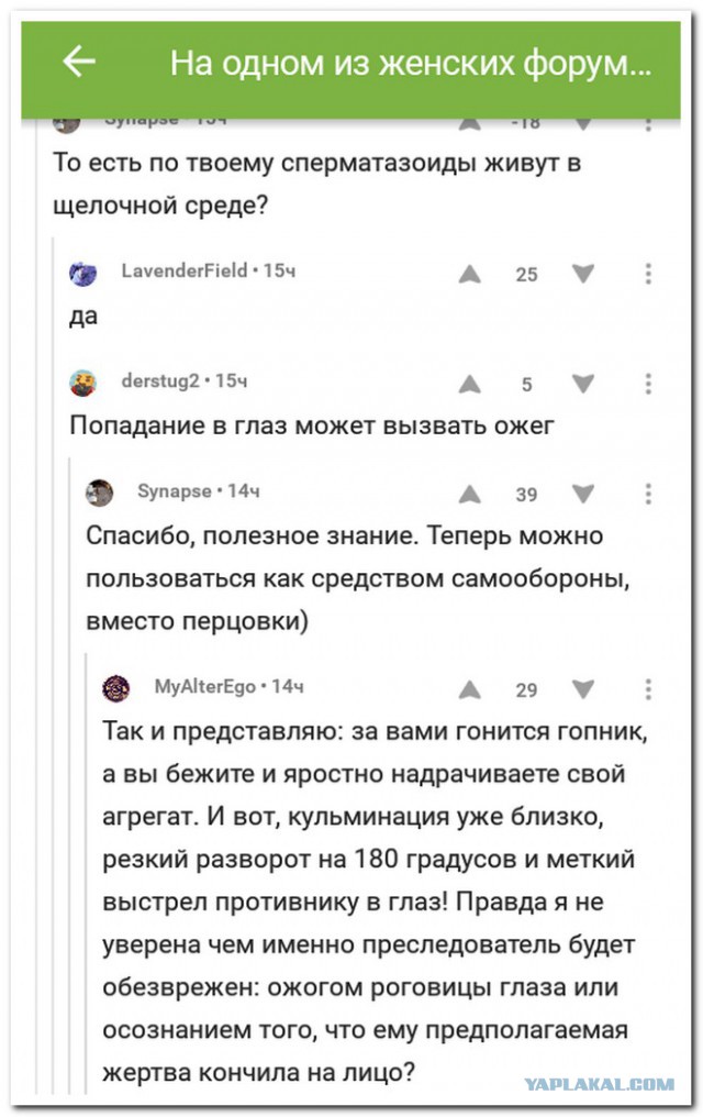 Смешные комментарии из социальных сетей 20.10.2017