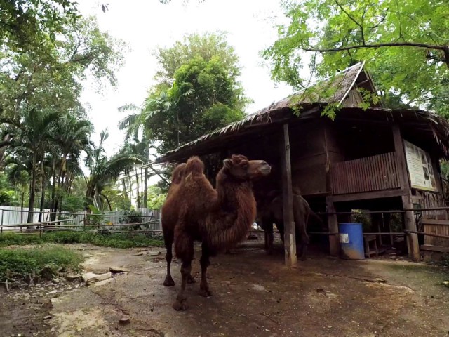 Полтора месяца безделья или "Первое семейное бюджетное путешествие"