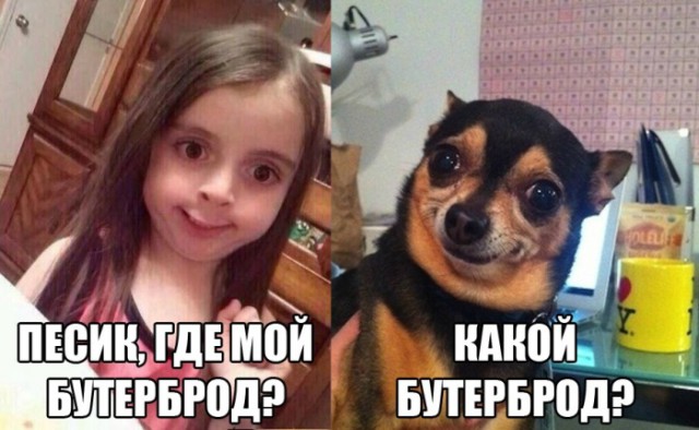 Нестандартный юмор
