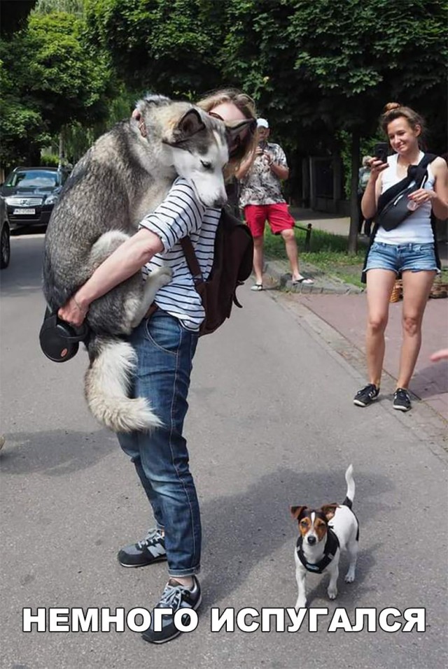Прикалюхи