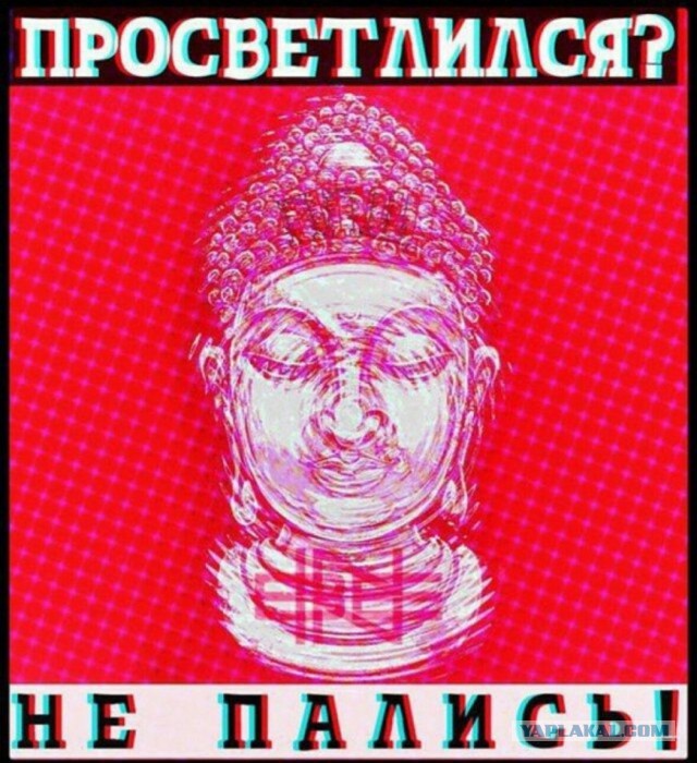 Когда накуренный не убегаешь от ментов