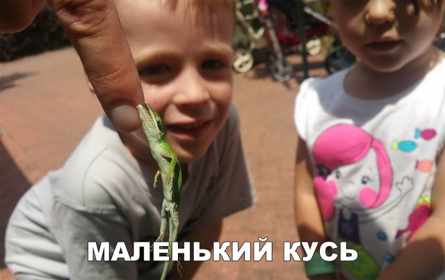 Нестандартный юмор
