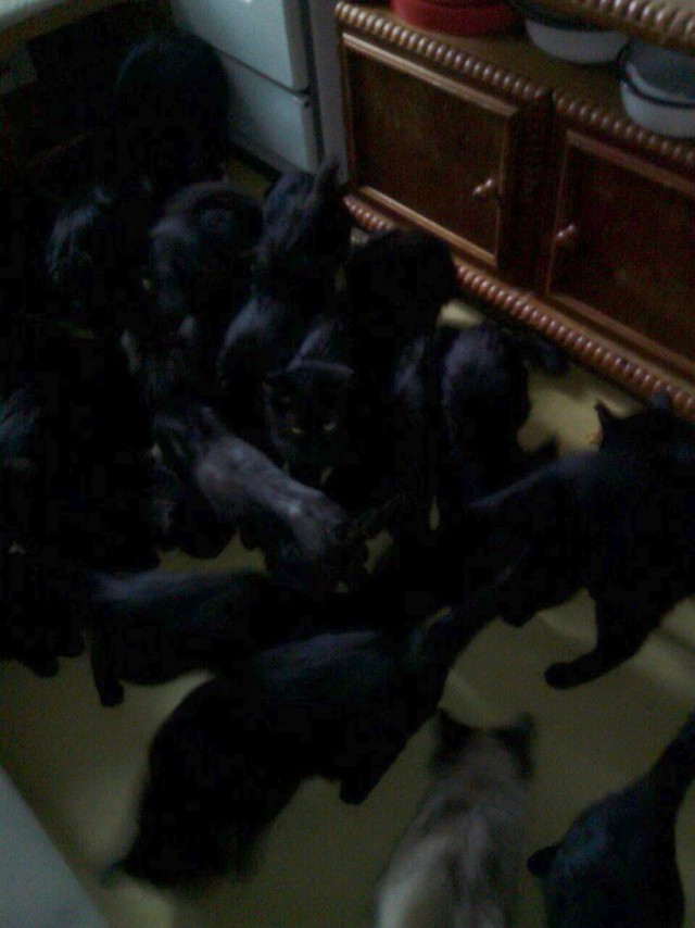 Джерри оказался не робкого десятка...