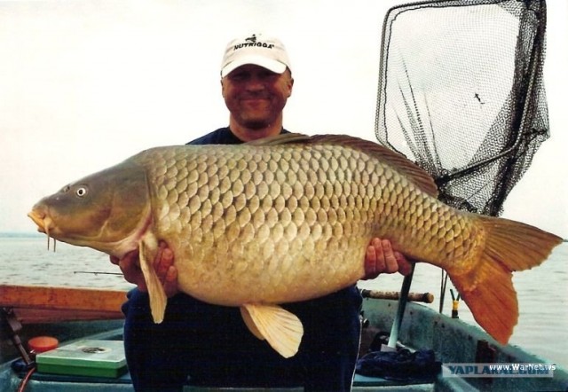 Как умеет, так и ловит