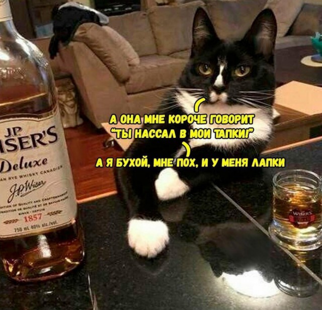 Клуб анонимных алкоголиков