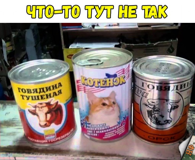 Нестандартный юмор