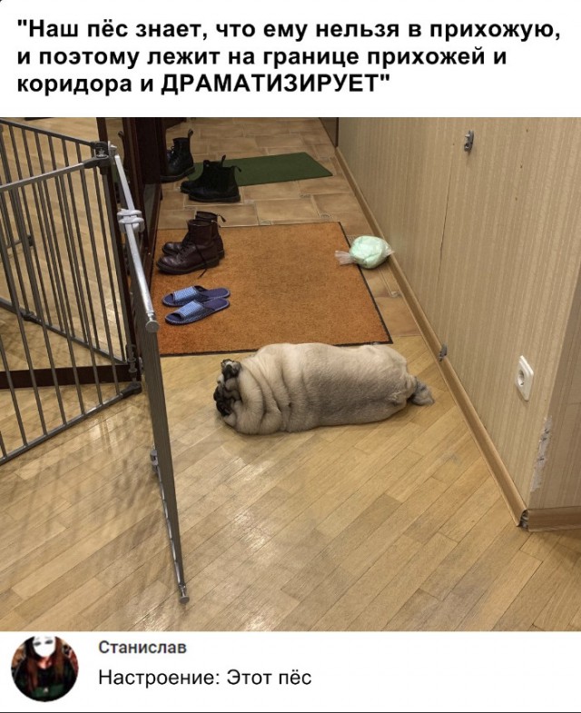 Нестандартный юмор