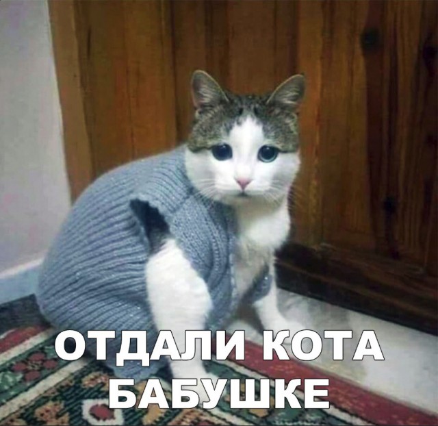 Прикольные картинки абавсём