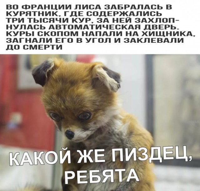 Немного картинок для настроения
