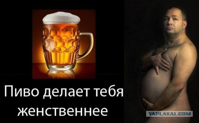 В пиве, как выяснили ученые, просто сплошная польза