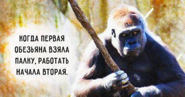 Чуток картинок! 22.10.19
