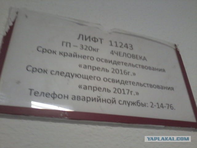 Крайний!