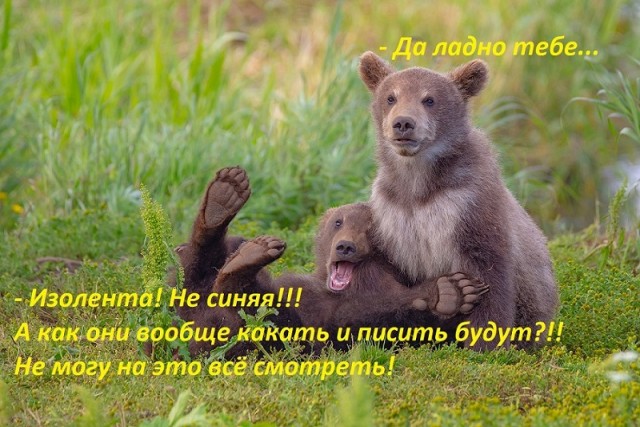 Корпоратив, коллеги!