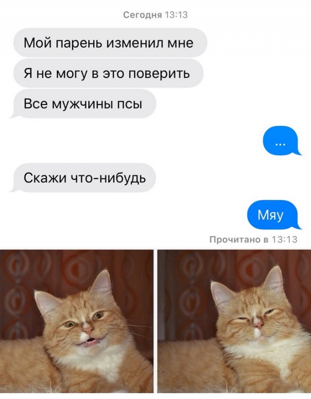 Картинки с надписями, истории и анекдоты 21.12.19