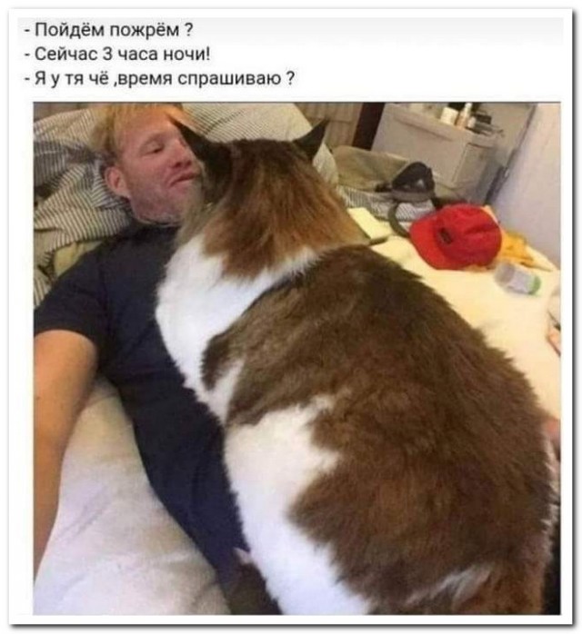 Жена и любовница: исповедь женатого мужчины