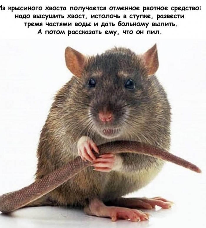 Бредзона 08.02.2020