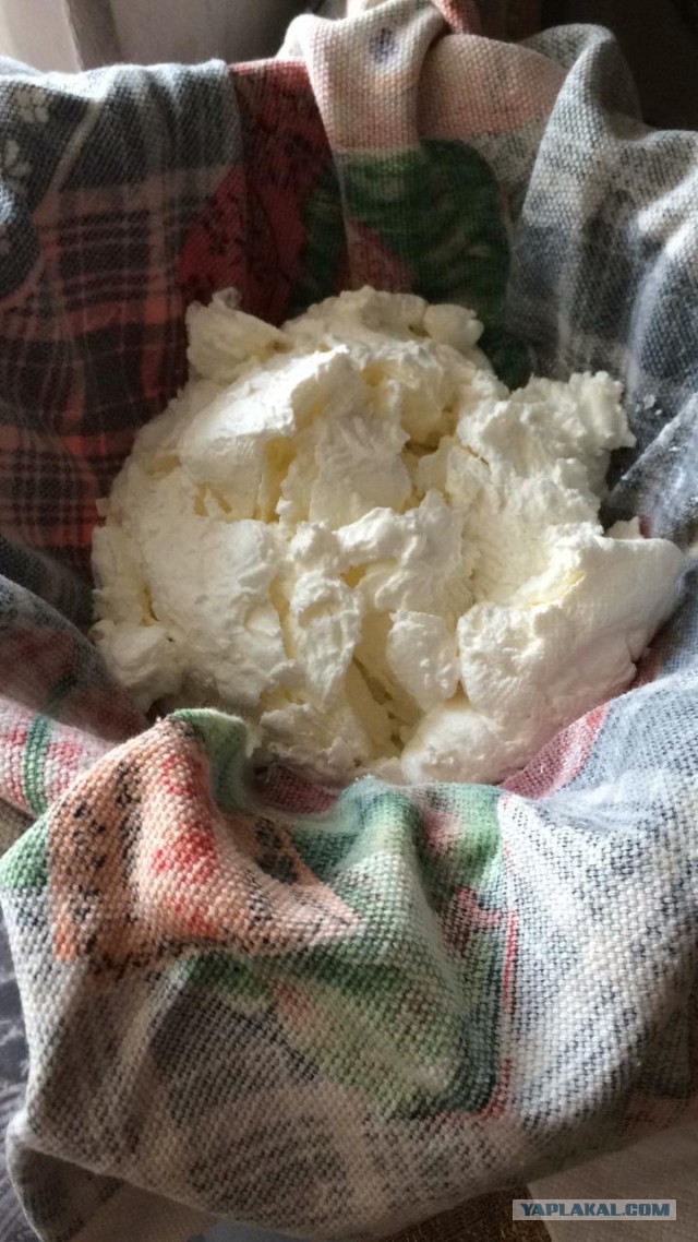 Замораживаю недорогой кефир и вуаля: получаю продукт, который стоит в разы дороже