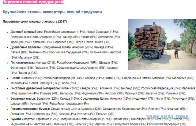 Несчетное количество леса-кругляка ожидает своей отправки на продажу в Китай