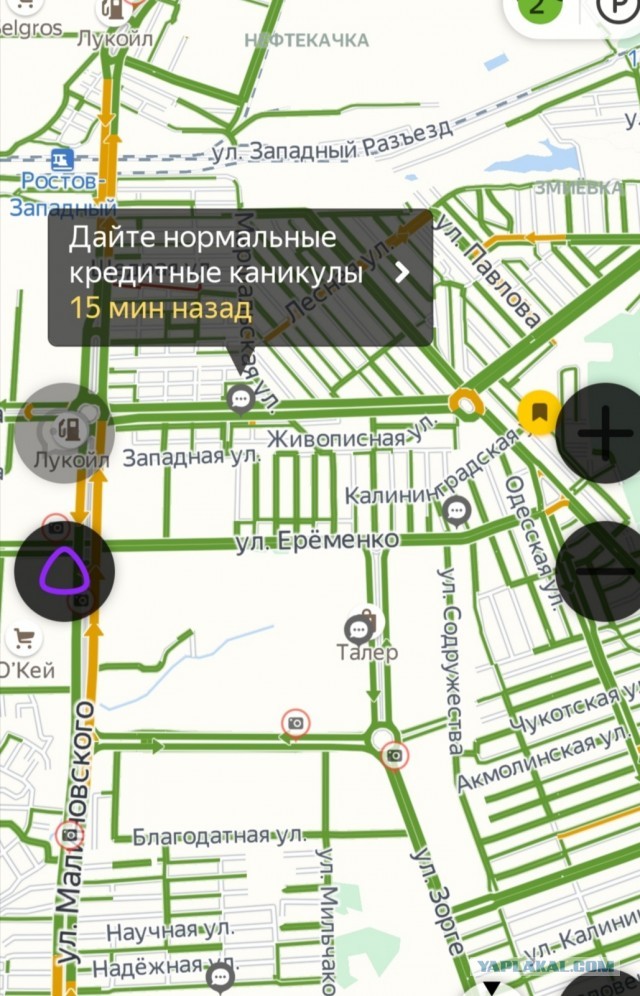 В Ростове жители устроили виртуальный митинг