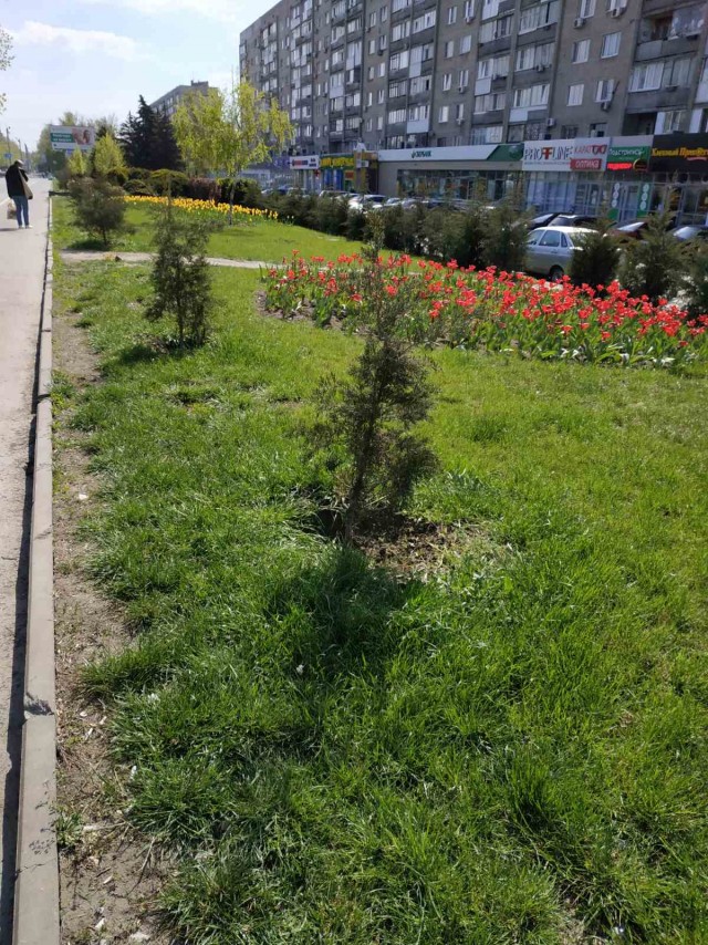 Откровение плохого папы