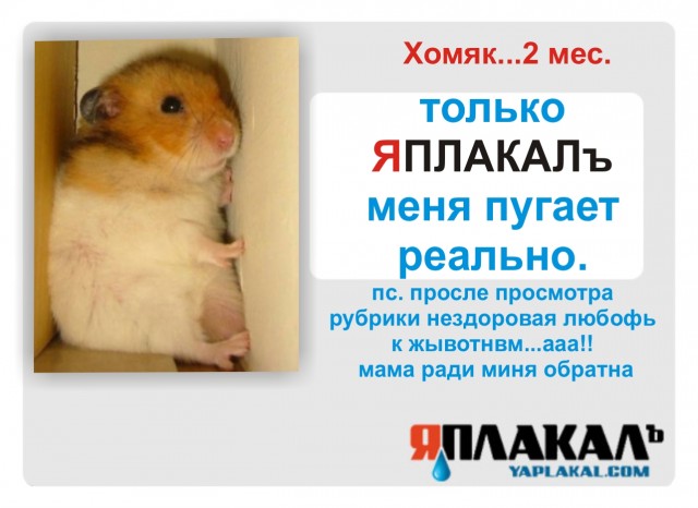Конкурс фотожабы: Я Люблю ЯПлакалъ