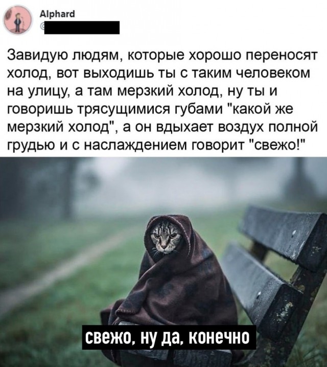 Картинки разные для поднятия настроения