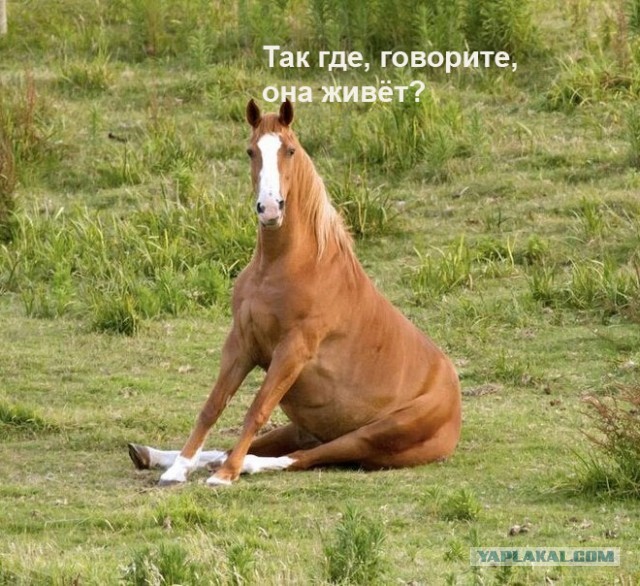 Саманта Рамсделл - девушка с невероятно большим ртом