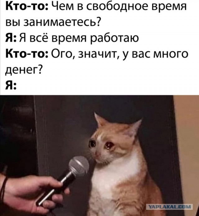 Картинки с надписями фразы и анекдоты