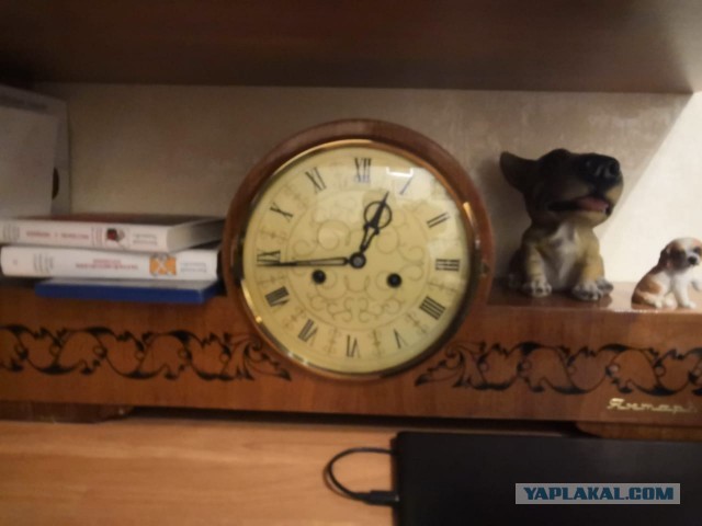 Госзакупка прошла, результат вот!