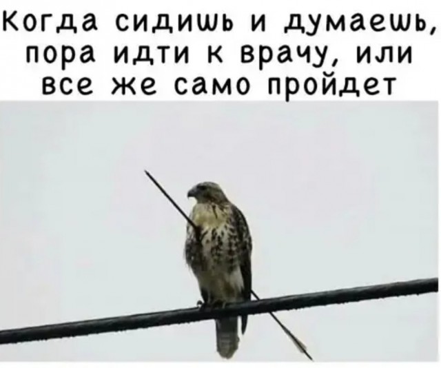 Бредзона 15.12.20
