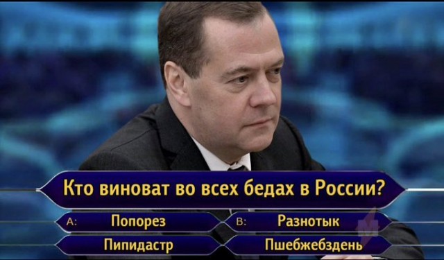 Медведев обвинил разнотык в бедах России