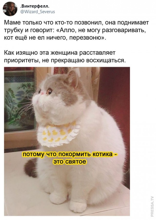 Картинки и мемы для настроения 009