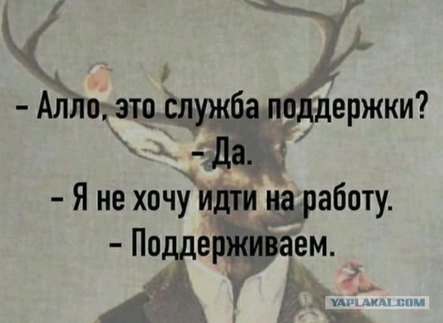 "Гении" из техподдержки МТС