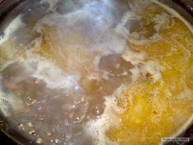 Куриный бульон для Чайников, Или «Кура-International»