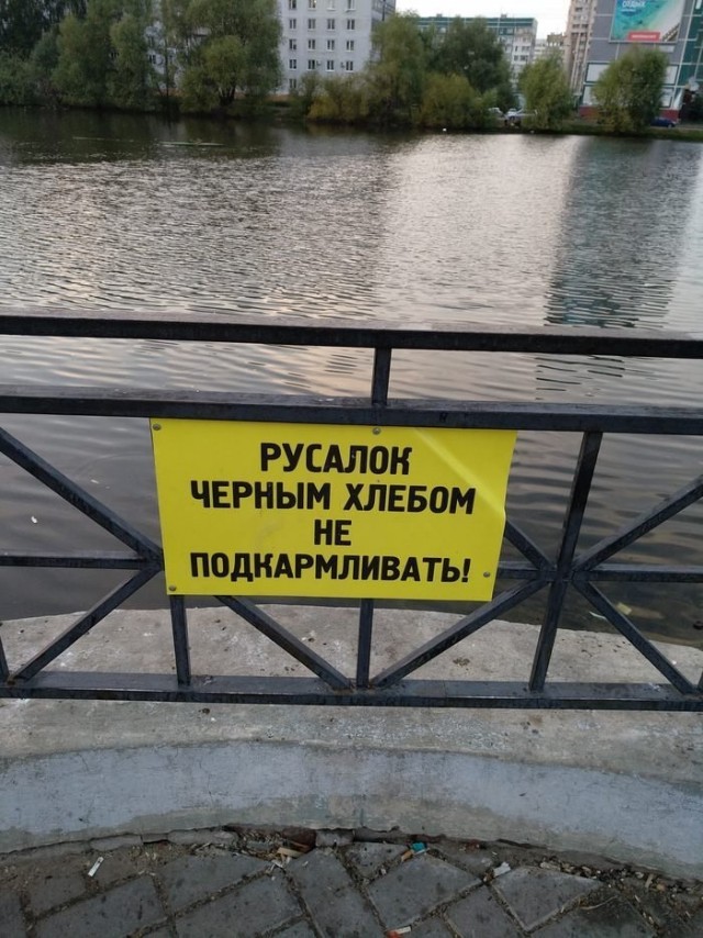 Забавные объявления 08.07.2021