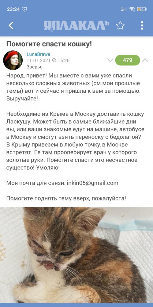 Очень вкусно бедолаге