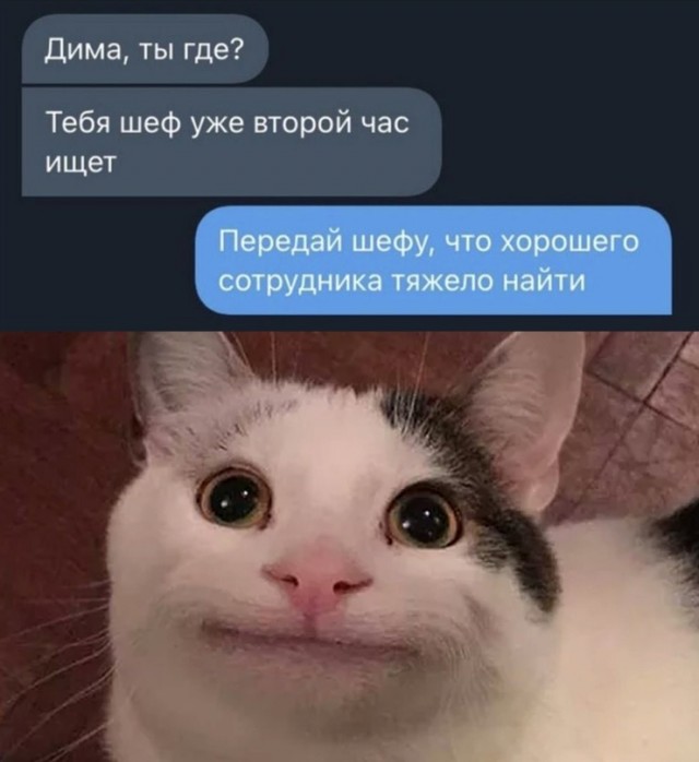 Весёлый полтишок 09.09.
