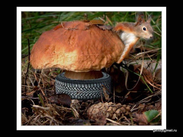 Фотошопил однако