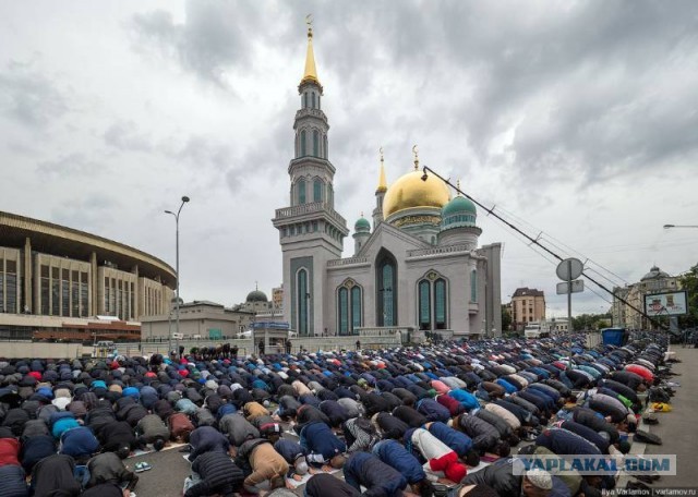 Какую ужасную ошибку совершила ты, несчастная Европа!