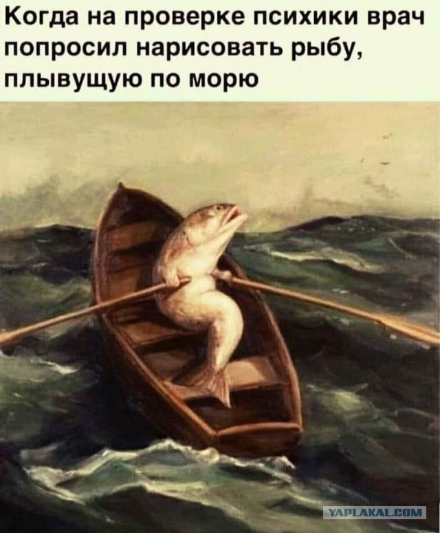 Чернота на понедельник, дорогие деграданты