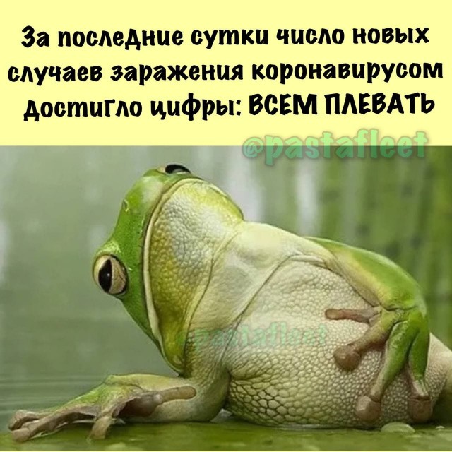 Пандемия. Коронавирус. Россия и мир. Часть 30.
