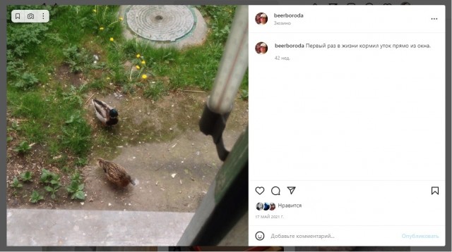 Немного добра вам в ленту